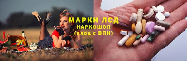 мяу мяу мука Карталы