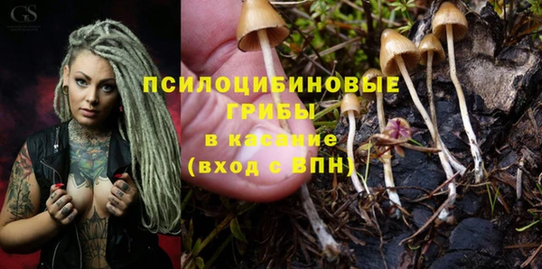 мескалин Карпинск