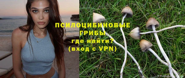 мескалин Карпинск