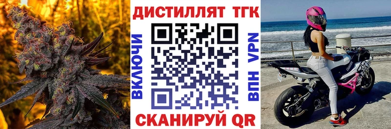 Купить  Карачев  ТГК концентрат 