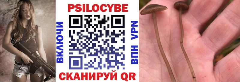 Псилоцибиновые грибы прущие грибы  Купить где  Карачев 